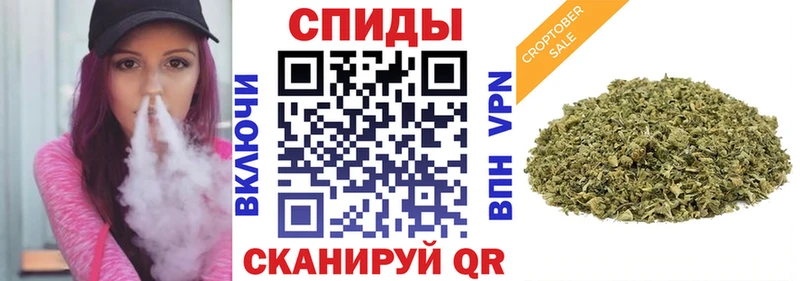 Купить  Медынь  Бутират Butirat 