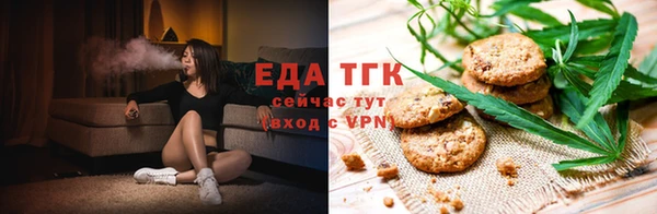 эйфоретик Гусь-Хрустальный