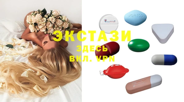 эйфоретик Гусь-Хрустальный
