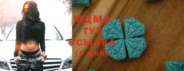 эйфоретик Гусь-Хрустальный