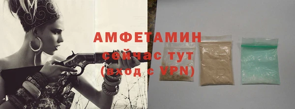 гидра Тында