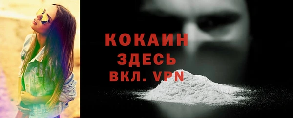 эйфоретик Гусь-Хрустальный
