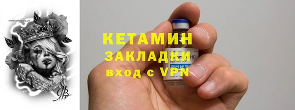 эйфоретик Гусь-Хрустальный
