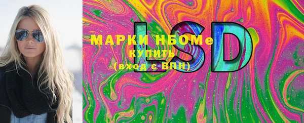 гашик Дмитриев