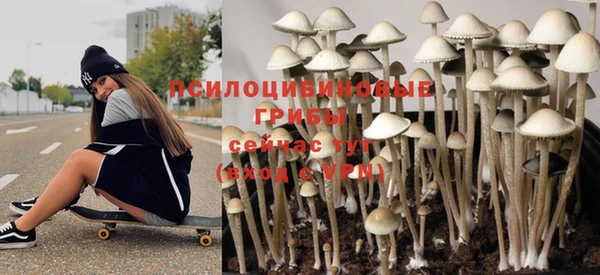 эйфоретик Гусь-Хрустальный