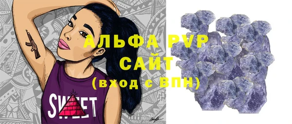 эйфоретик Гусь-Хрустальный