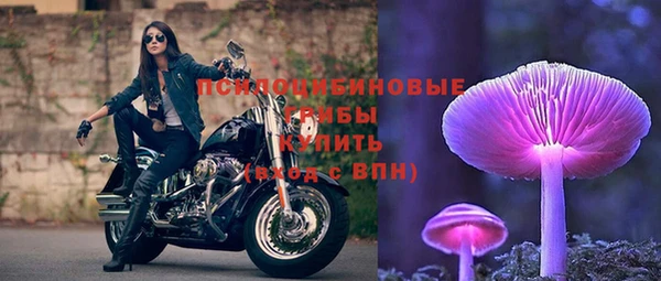 эйфоретик Гусь-Хрустальный